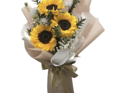 WhatsApp_Image_2025-03-06_at_11.24.13_AM-removebg-preview-1.png