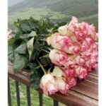 Flores por Suscripción - Image 4